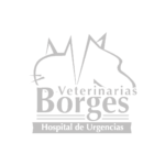 borges